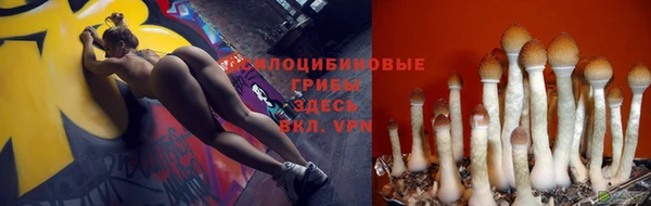 гашик Сатка