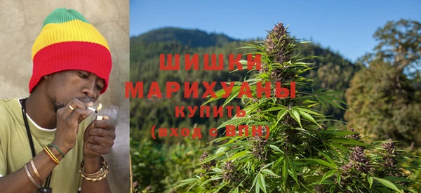 МДПВ Вязьма