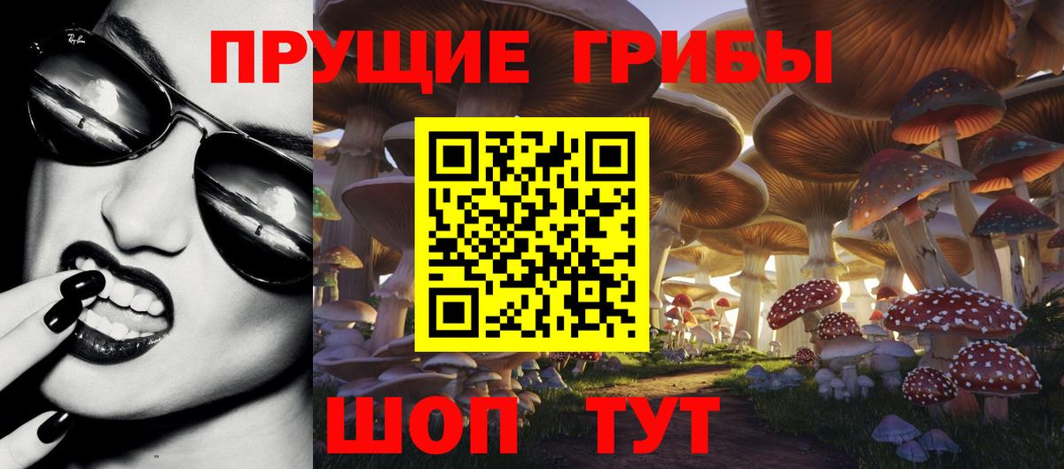 Донецк  Галлюциногенные грибы MAGIC MUSHROOMS  Вход с VPN  Псилоцибиновые грибы ЛСД 