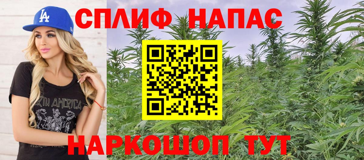 Бошки Шишки тримм Донецк
