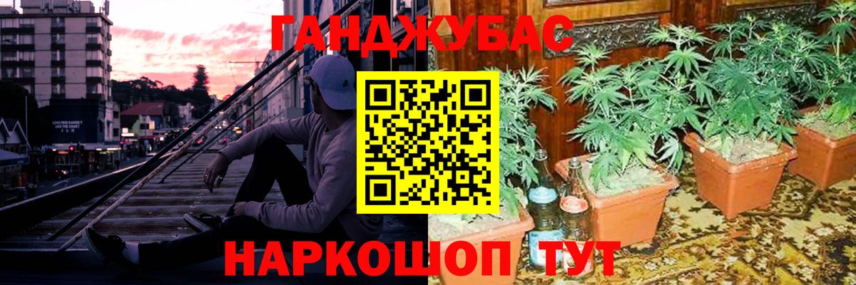 Бошки Шишки планчик  Шишки марихуана индика  Вход с VPN  Марихуана AK-47  Донецк 
